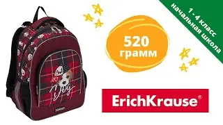 Ученический рюкзак ErichKrause ErgoLine 15L Cute Dog. ОБЗОР