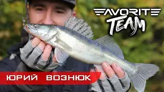 Судаки и щуки на спиннинг с берега. Батл рыбалка на речке Гуйва. Favorite Team