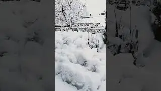 ❄️Финляндия. Ждали весну, а пришла зима! Takatalvi=возвращение зимы 22.3.2024