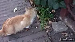 Славянск.10.07.22.  Что нам день готовит?