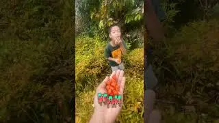 Ada yang tau buah ini ngak?