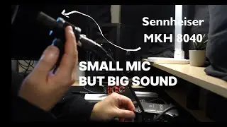 Shootout featuring the Sennheiser MKH 8040, MKH 8060, MKH 416,  E614, AT875R, RODE NTG5