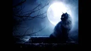 The Black Cat (Christopher Lee)