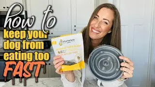 How to keep your dog from eating too fast