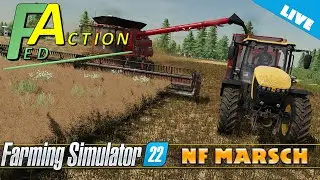 БОЛЬШАЯ УБОРОЧНАЯ. FS22. NF Marsch.