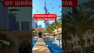 3 принципа ШЕЙХА-основателя ОАЭ (по силам каждому)