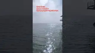 Кто хочет на море? Сочи Хоста море в октябре #shorts #море #сочи