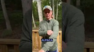 NICE PAKA Alpaca Crew Sweater! Check It Out!