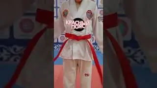 5 поясов  в Taekkwondo  