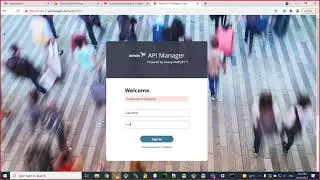 Pagination of API and application data in API Portal