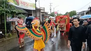 Tetap Berjalan Meskipun Hujan !! Barong Ider Bumi Desa Kemiren 2025