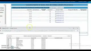 📊 ¿Cómo consultar tus boletas de ventas electrónicas emitidas? 💻🔍 SUNAT