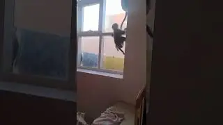 Утренние обнимашки 😁