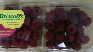 Raspberry Challenge