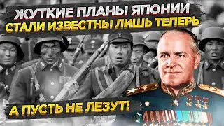 ФСБ рассекретило планы Японии в отношении СССР!