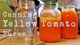 Canning and Pureeing Yellow Tomatoes (How To!) - Just A Cook