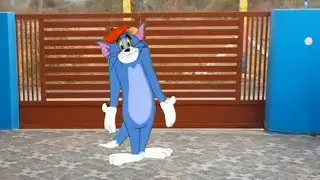 Green screen Tom and Jerry/ Tom & Jerry/ Tom / Jerry/ vfx/ free use/ cartoon /vfx/graphics