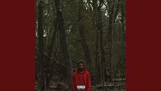 PP 15 Interlude