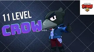11 Level Crow (Maxing Out Crow)
