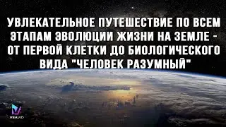 Документальный фильм "Откуда произошли люди" (Великобритания, 2012)