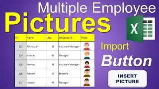 How to insert multiple pictures in Excel - Productivity 10X faster