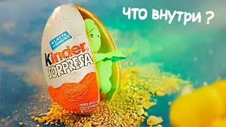 ОТКРЫЛИ KINDER СЮРПРИЗ 25 ЛЕТ СПУСТЯ !)