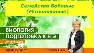 Семейство Бобовые. Теория и практика ЕГЭ /ОГЭ 2017. Биология.