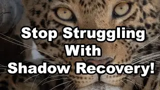 Stop Struggling With Shadow Recovery! (Bonus 83 second ISO crash course! )
