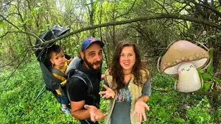 VILLAGE LIFE: Are there any MUSHROOMS in the forest? ☼ The HaLo Homestead ☼