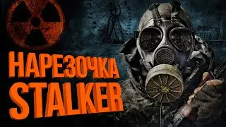 Нарезка первого стрима 💥 S.T.A.L.K.E.R ANOMALY 1.5.1 СБОРКА АДДОНОВ EFT Edition 2.1