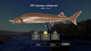 Русская Рыбалка 4 р. Тунгуска Стерлядь