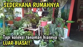 Indah!! Puas-puasin dulu lihat tanaman hias depan rumah ini