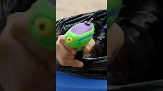 Skunk At The Beach 