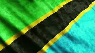 No Copyright Tanzania Flag Waving | Stock Footage Video
