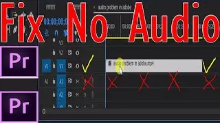 No audio ,only video import adobe premiere pro solve completly audio problem.
