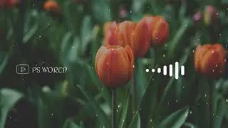 Instrument Ringtone 2019 || New Ringtone || download link included