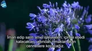 Idris Ebker Abkar Nisa Suresi 56 57 CEHENNEM ve CENNET SubhanAllah