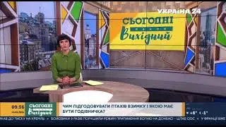 Правильные кормушки и корм  для птиц в зимний период 🤘🤘🤘 Это должны знать все ‼️‼️‼️ репост 👍👍👍