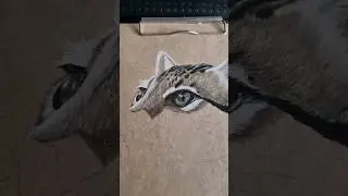 Уголь, крафт-бумага. "Шорох"