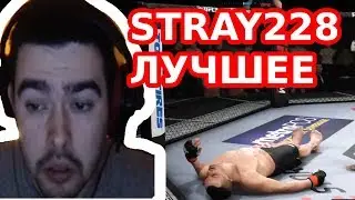 STRAY228 ЛУЧШЕЕ СО СТРИМОВ (s01e01) НОЯБРЬ