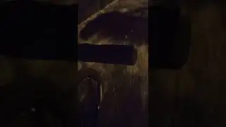 гололедище