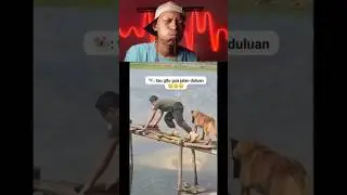 Try Not Laugh 65 😅