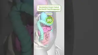Bumil mana suaranya?? begini mom perubahan tubuh pas hamil hihi😍 mommy skrg berapa bulan nih?