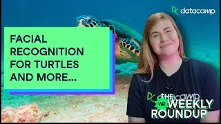 Turtle Face Recognition | The Weekly Roundup
