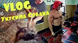 VLOG ● СОБАКА УКУСИЛА ЗА РУКУ / ДВА ДРЫЩА В КАЧАЛКЕ