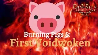 Burning Pigs and First Voidwoken - Divinity: Original Sin 2