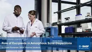 Role of Excipients in Amorphous Solid Dispersions