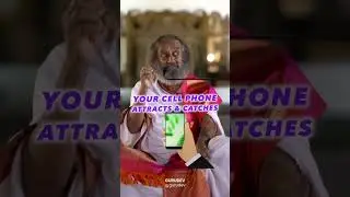 Телефон полон бактерий