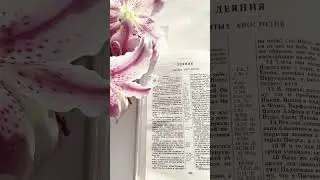 Свидетели до края земли🌏Деяния 1:8