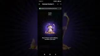 Комбо карты Hamster Kombat 24 - 25 августа 2024: карты, секреты и как найти комбо сегодня в Хомяке